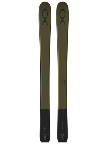 V31